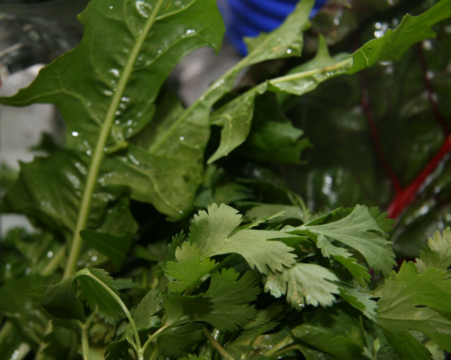 photo by lollyknit, via flickr creative commons