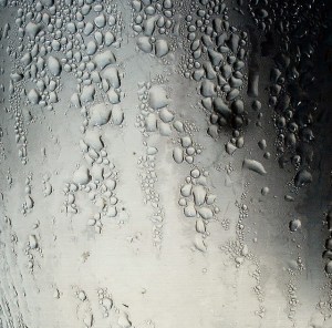 63690524_293855a2b5_z