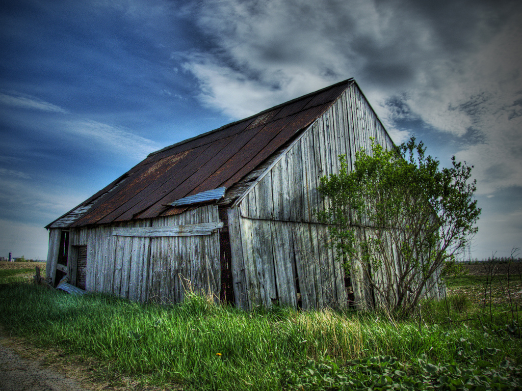 photo by michael filion, via flickr creative commons