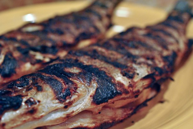 photo by cookbookman17, via flickr creative commons