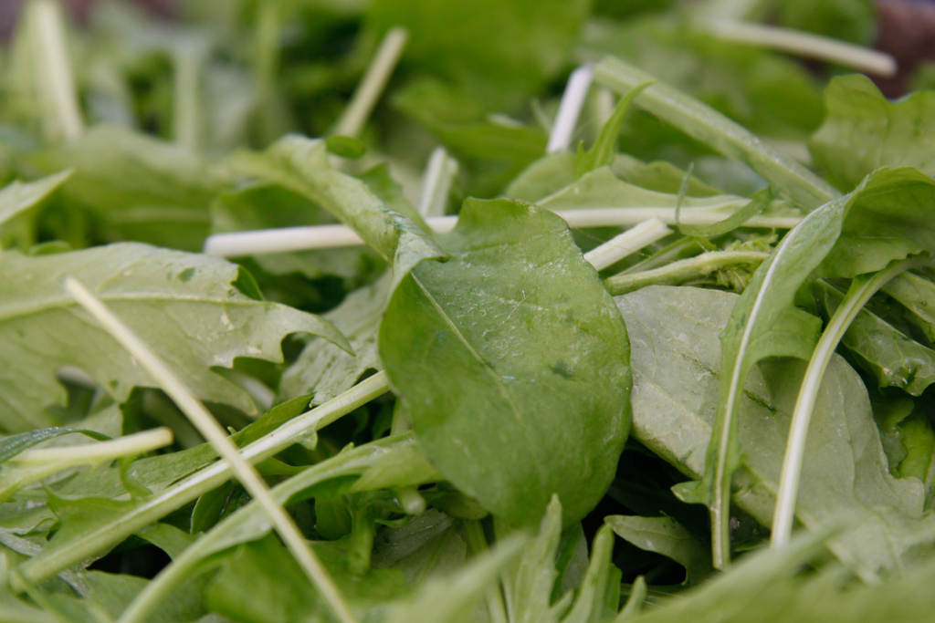 photo by tim sackton, via flickr creative commons